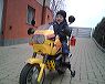 bojocross