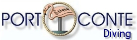 iView Logo
