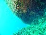 dsc00018