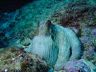 dsc00050